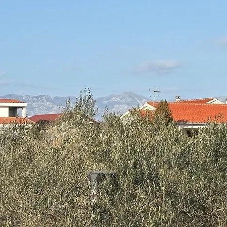 Aleksandra דירה ויר
